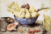 Giovanna Garzoni Chinese Cup with Figs,Cherries and Goldfinch oil on canvas